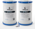 iFilters RP-3500 Carbon Water Filter 2-Pack - High-Performance 0.5