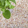 Aquarium Gravel for Plants 18lb 1/5in Pea River Rocks - Durable Decor