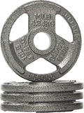 2-Inch Olympic Cast Iron Weight Plate 45 lb - Gray Baked Enamel