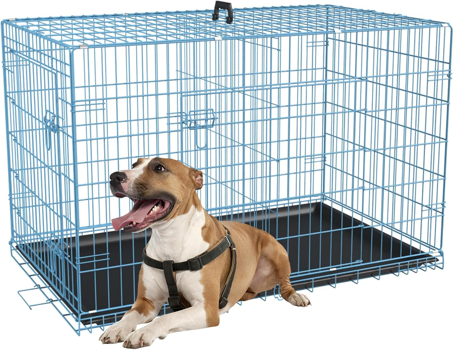 FDW Dog Crate for Medium Dogs 36 Inch Folding Metal Wire Cage