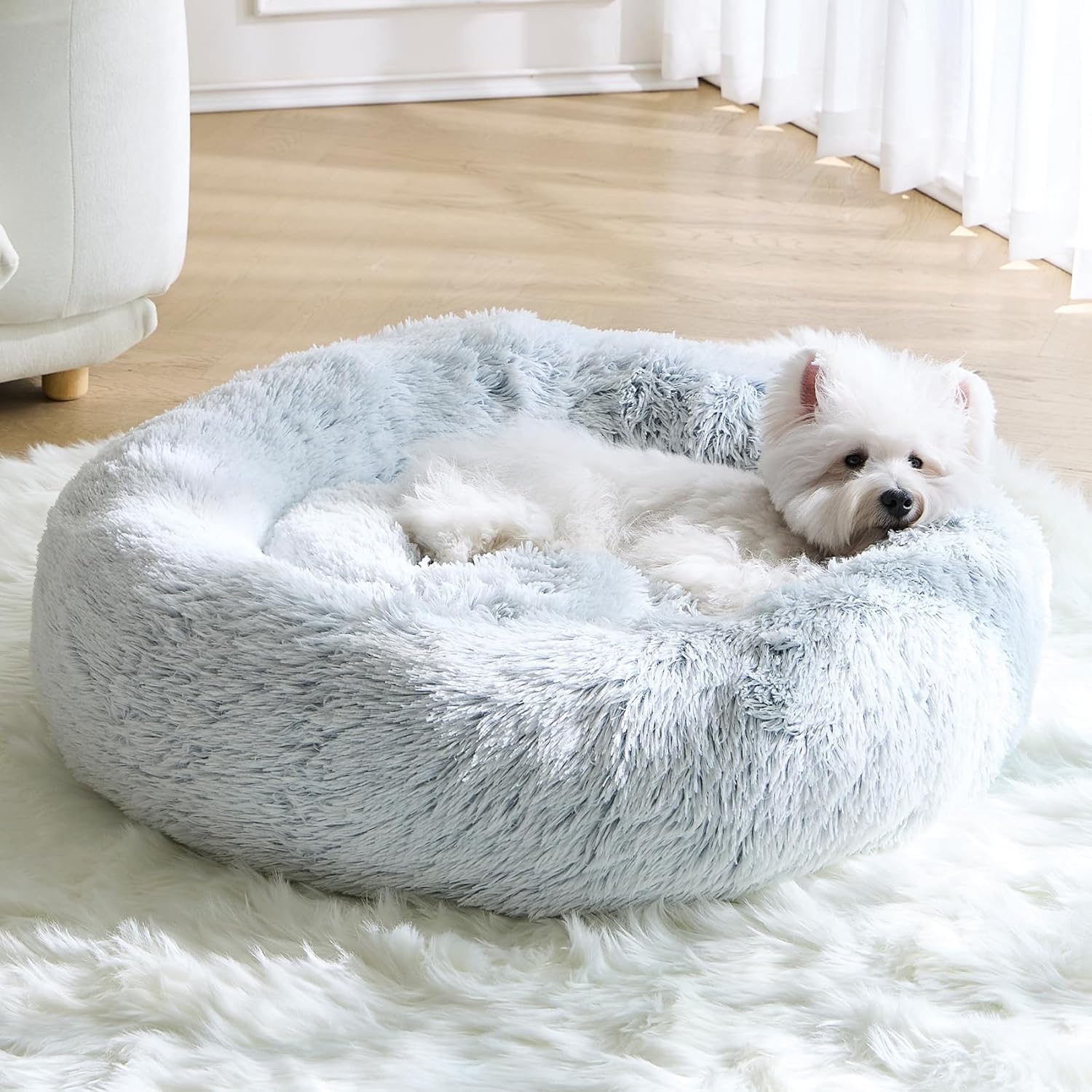 Calming Small Dog Bed for Cozy Comfort and Anti-Anxiety Relief