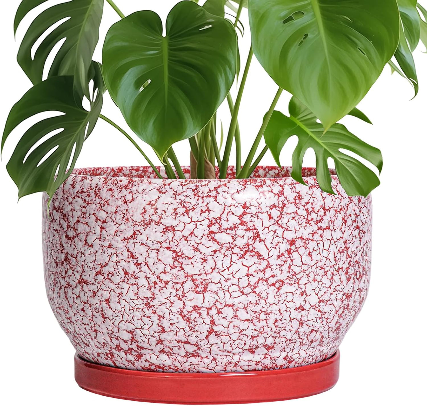 SQOWL Ceramic Planters - 10 Inch Flower Pots with Drainage