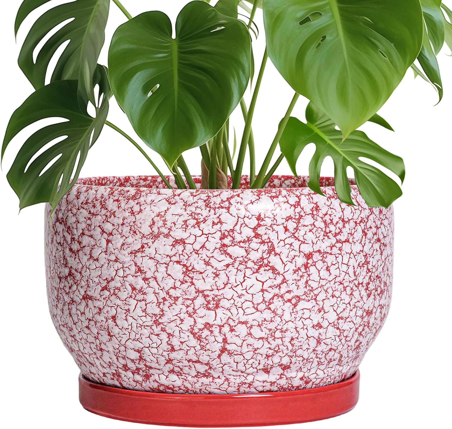 SQOWL Ceramic Planters - 10 Inch Flower Pots with Drainage