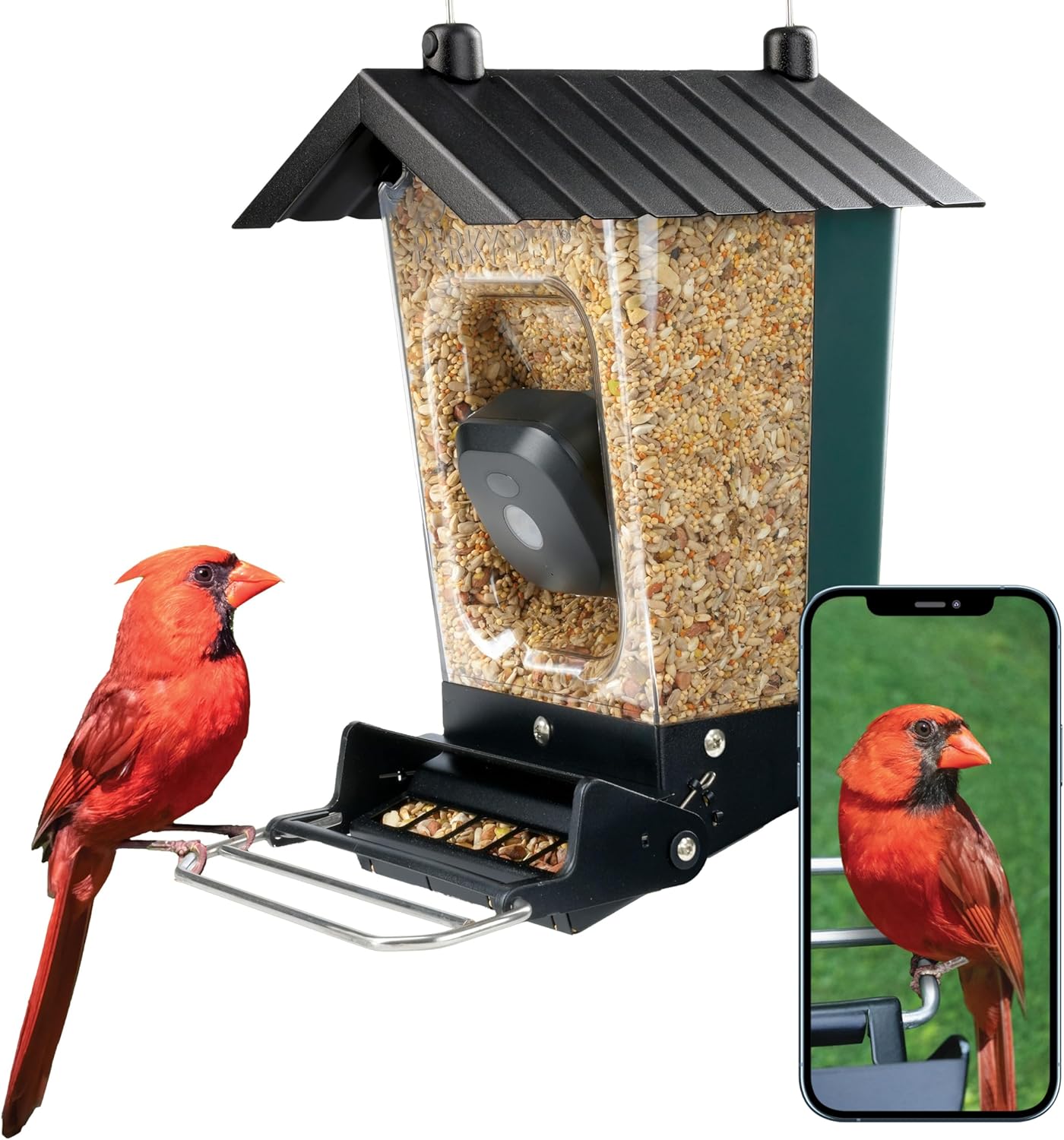 Smart Bird Feeder - Capture Birds in HD!