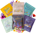 Wildflower Seeds Collection - 500,000+ Bulk Seeds for Pollinators