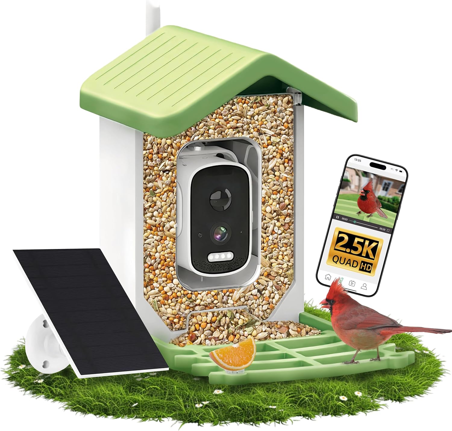 Smart Bird Feeder with Camera for Bird Lovers and Enthusiasts