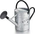 Galvanized Watering Can 1 Gallon - Countryside Metal Water Can