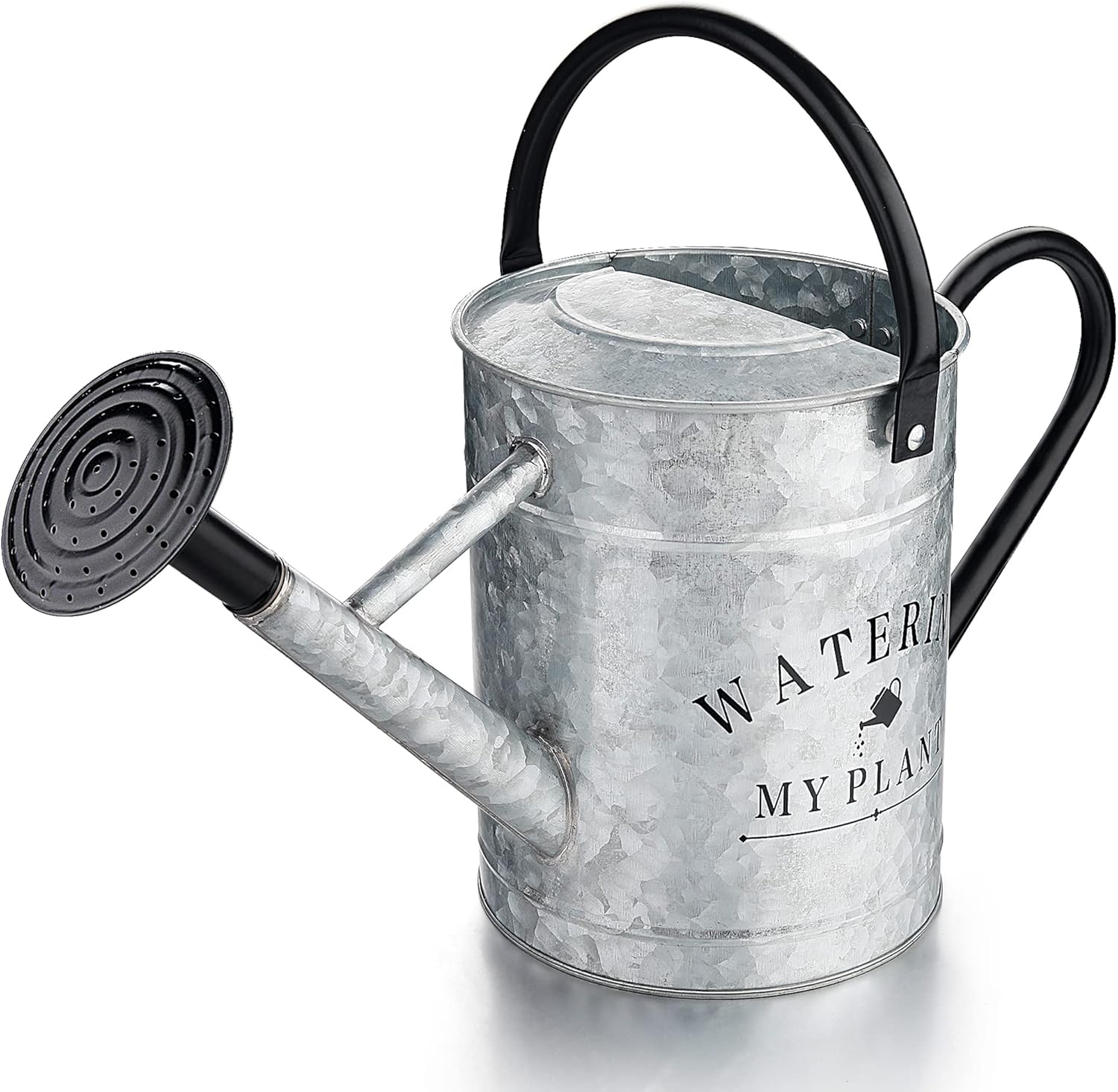Galvanized Watering Can for Indoor and Outdoor Plants, 1 Gallon