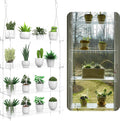 4-Tier Hanging Clear Plant Shelves for Windows - Space Saving Display