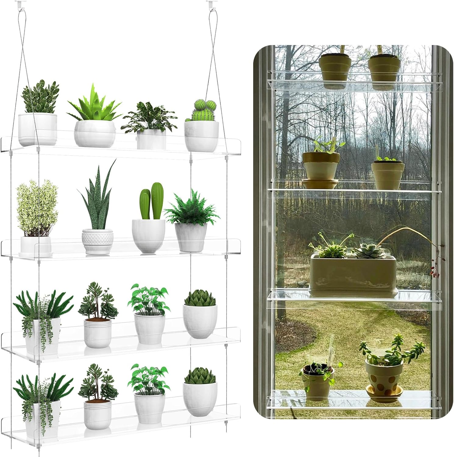 4-Tier Hanging Clear Plant Shelves for Indoor Gardens Display