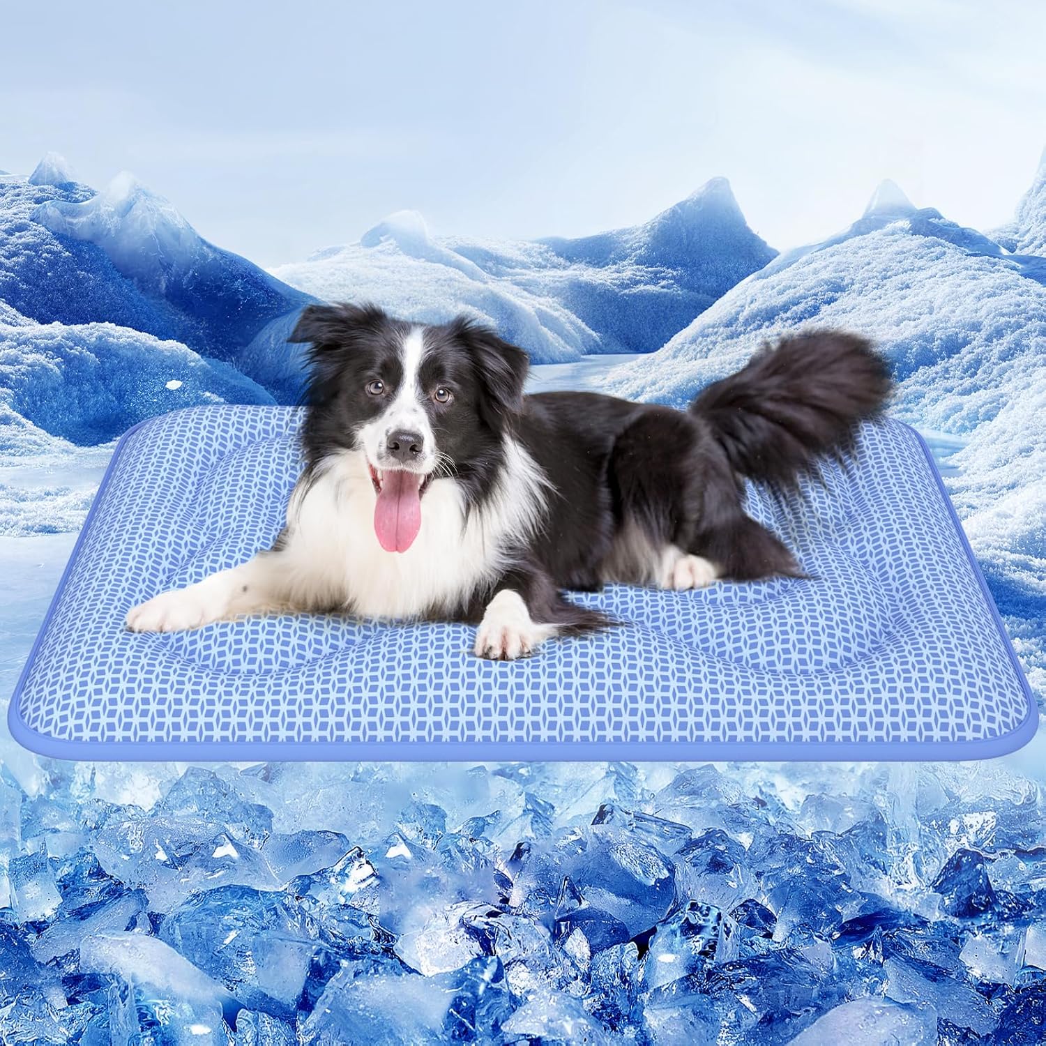 Rywell Dog Cooling Mat with PCM Tech for Ultimate Comfort
