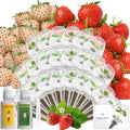Hydroponic Seed Pod Kit Compatible with AeroGarden - Complete 24 Pods