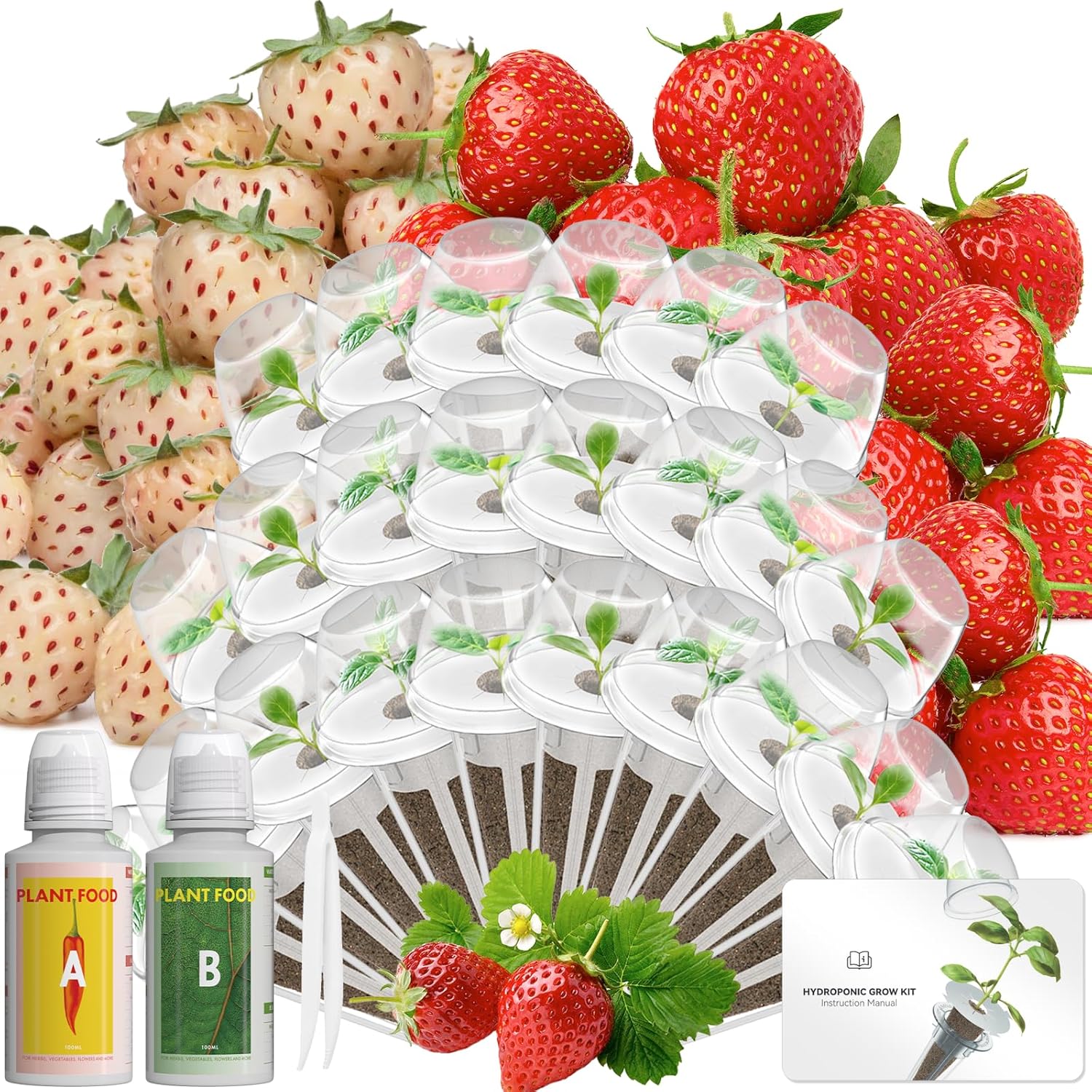 LYKOCLEAN Hydroponic Seed Pod Kit for Indoor Gardening Success