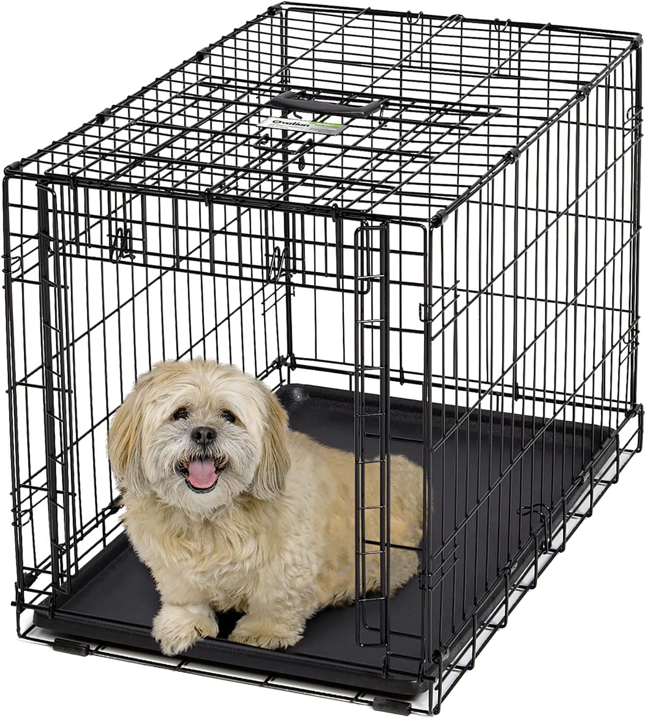 MidWest Homes for Pets Medium Ovation Folding Dog Crate Review