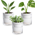 D'vine Dev 4 in Self Watering Terracotta Planter Set of 3 - Elegant