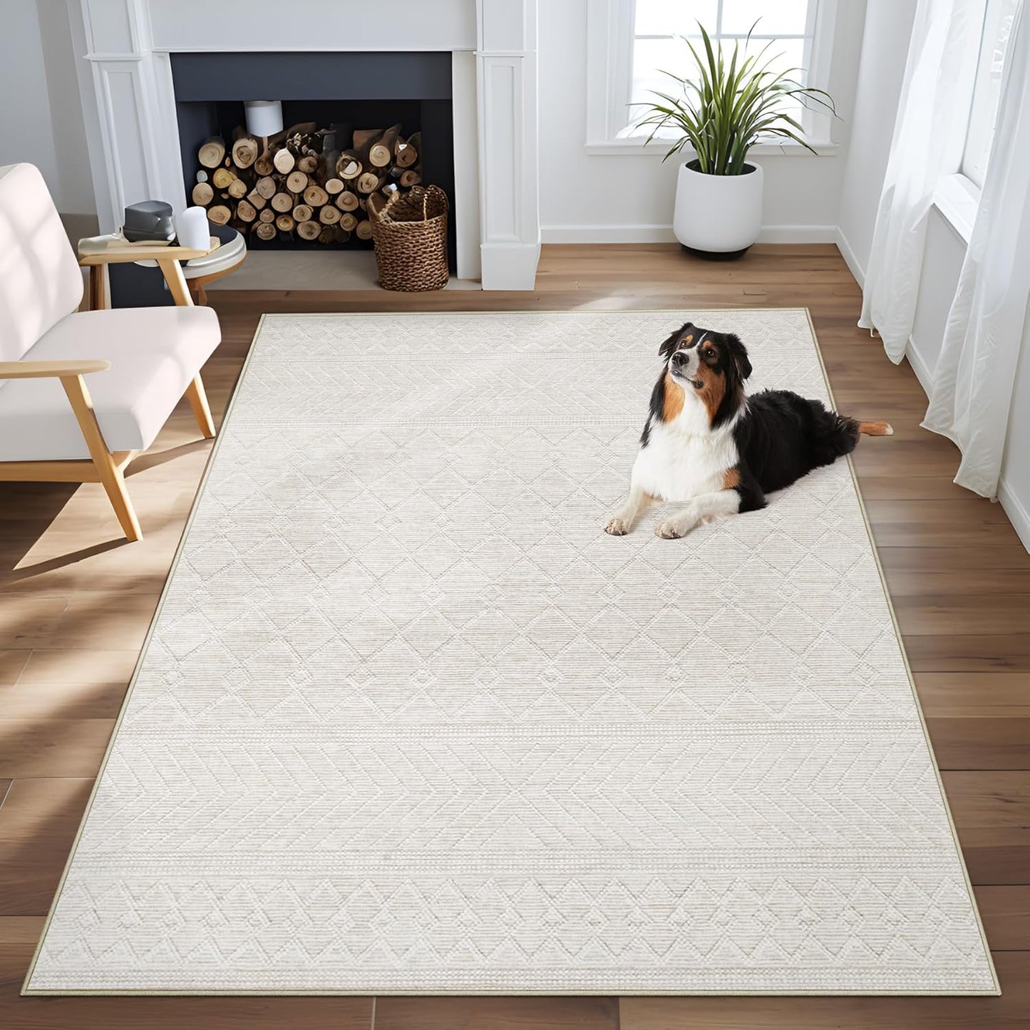 Modern Area Rug 4x6: Soft Washable Boho Moroccan Design