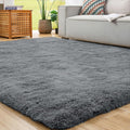 ROCYJULIN 5x7 Rug for Living Room, Ultra Soft Plush Area Rug