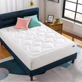 ZINUS 12 Inch Cloud Memory Foam Mattress, Queen - Cloudlike Comfort