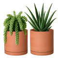 D'vine Dev Small 6 Inch Terracotta Plant Pot with Saucer