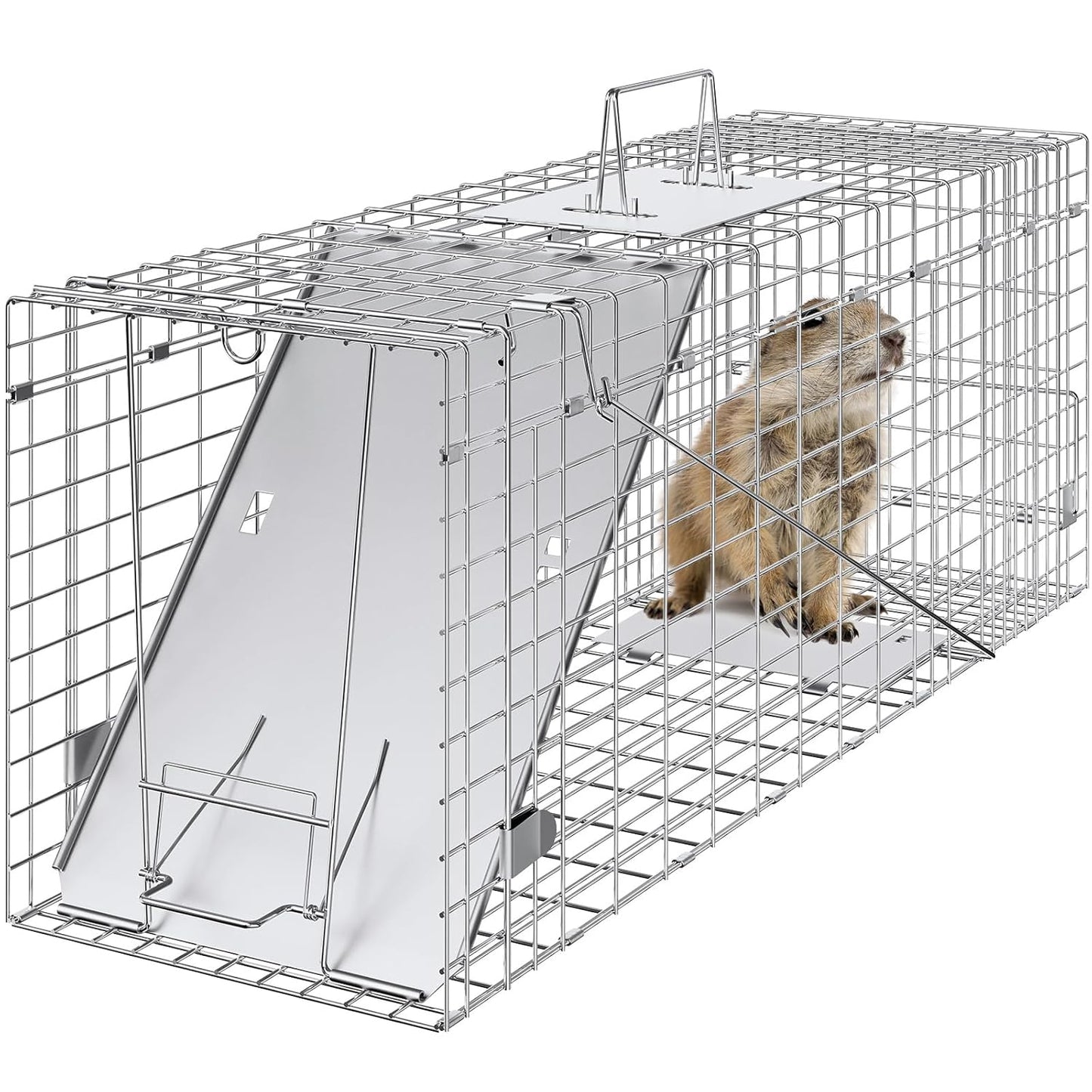Humane Live Animal Cage Trap for Cats, Rabbits, and More