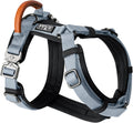Made to Roam Explorer Harness Size 7 - Y-Shaped Durable Nylon Fit