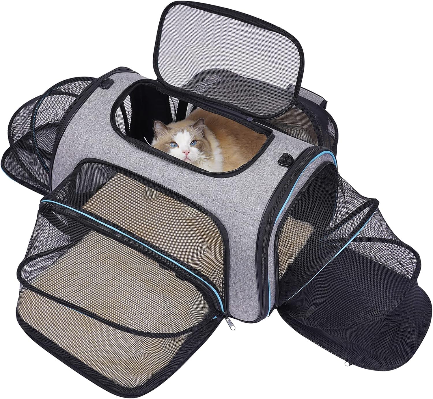 Siivton Expandable Pet Carrier for Cats and Small Dogs Travel