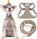 No Pull Small Dog Harness with Multifunction Leash - Comfortable Fit