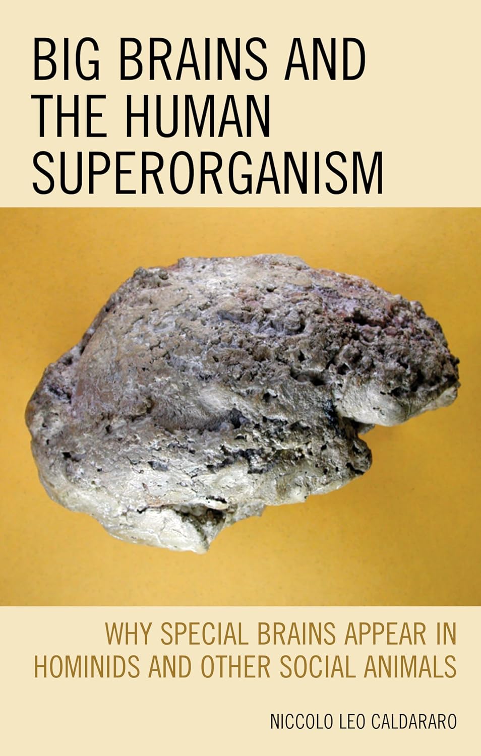 Big Brains and the Human Superorganism: A Deep Dive into Hominids