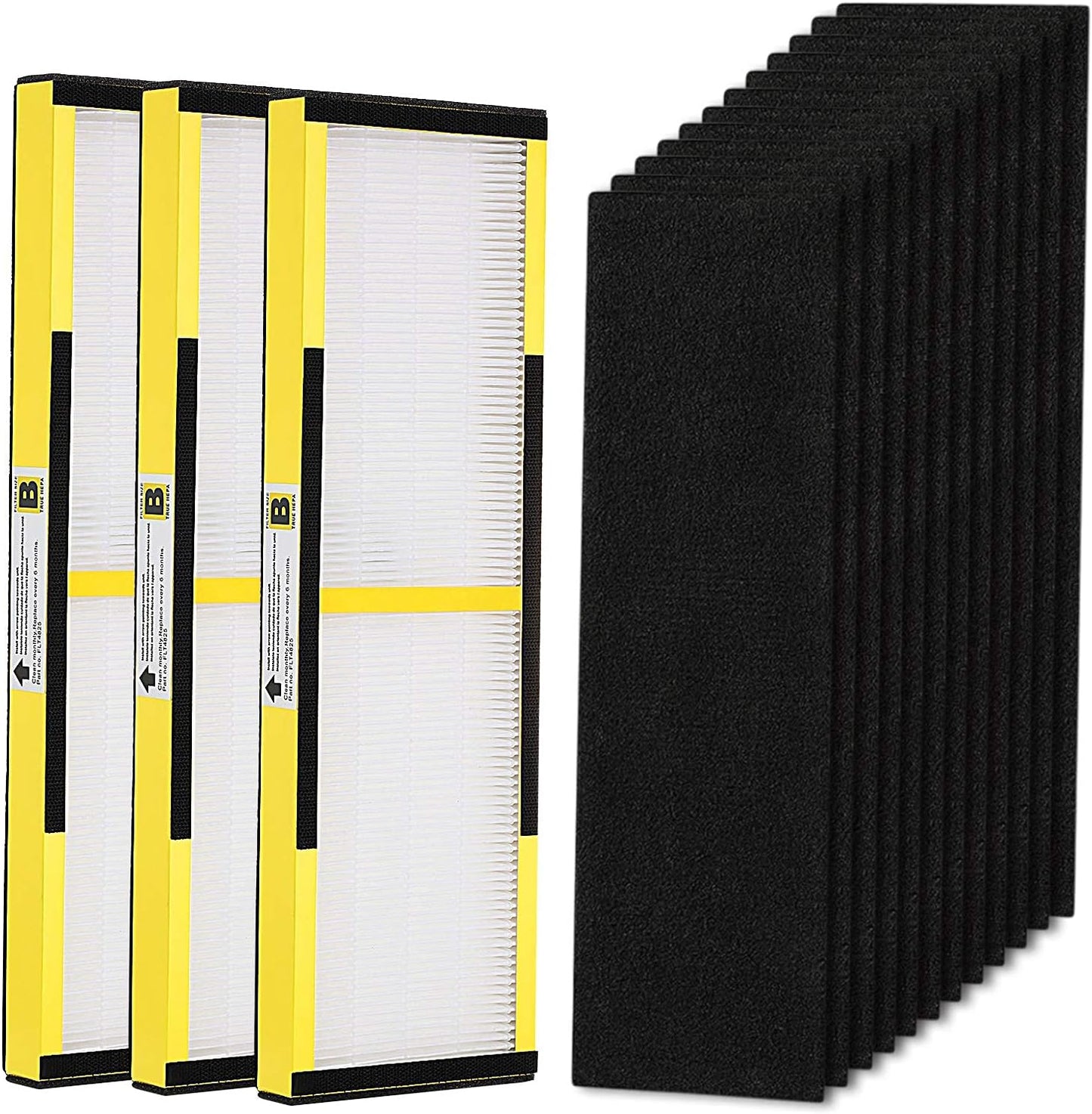 FLT4825 HEPA Filter B Replacement with Activated Carbon Pre-Filters