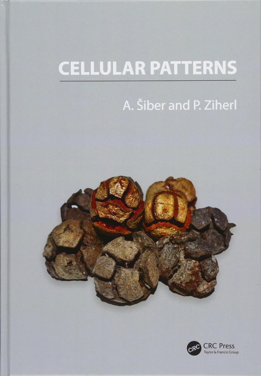 Cellular Patterns by Antonio Siber and Primoz Ziherl Review