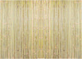 Natural Bamboo Slat Fence for Privacy and Outdoor Decor