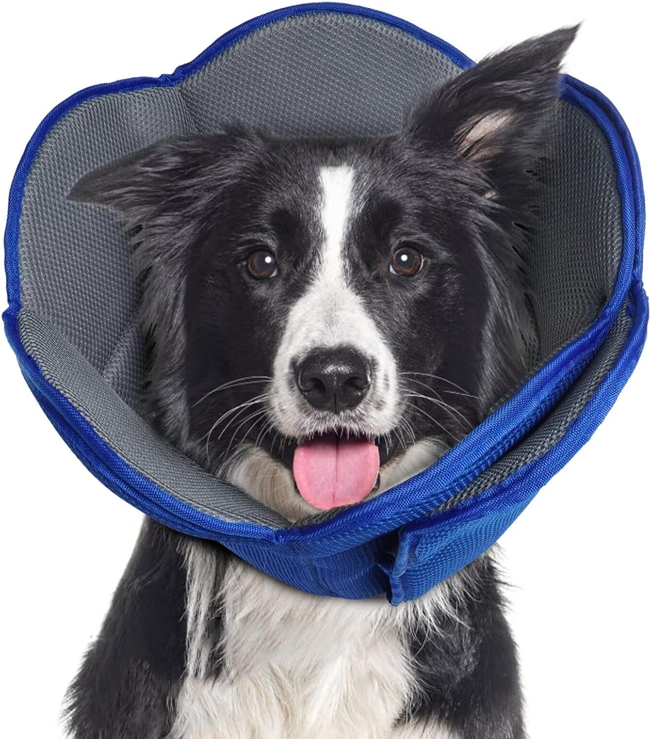 Dog Cone After Surgery - Adjustable Recovery Collar for Pets