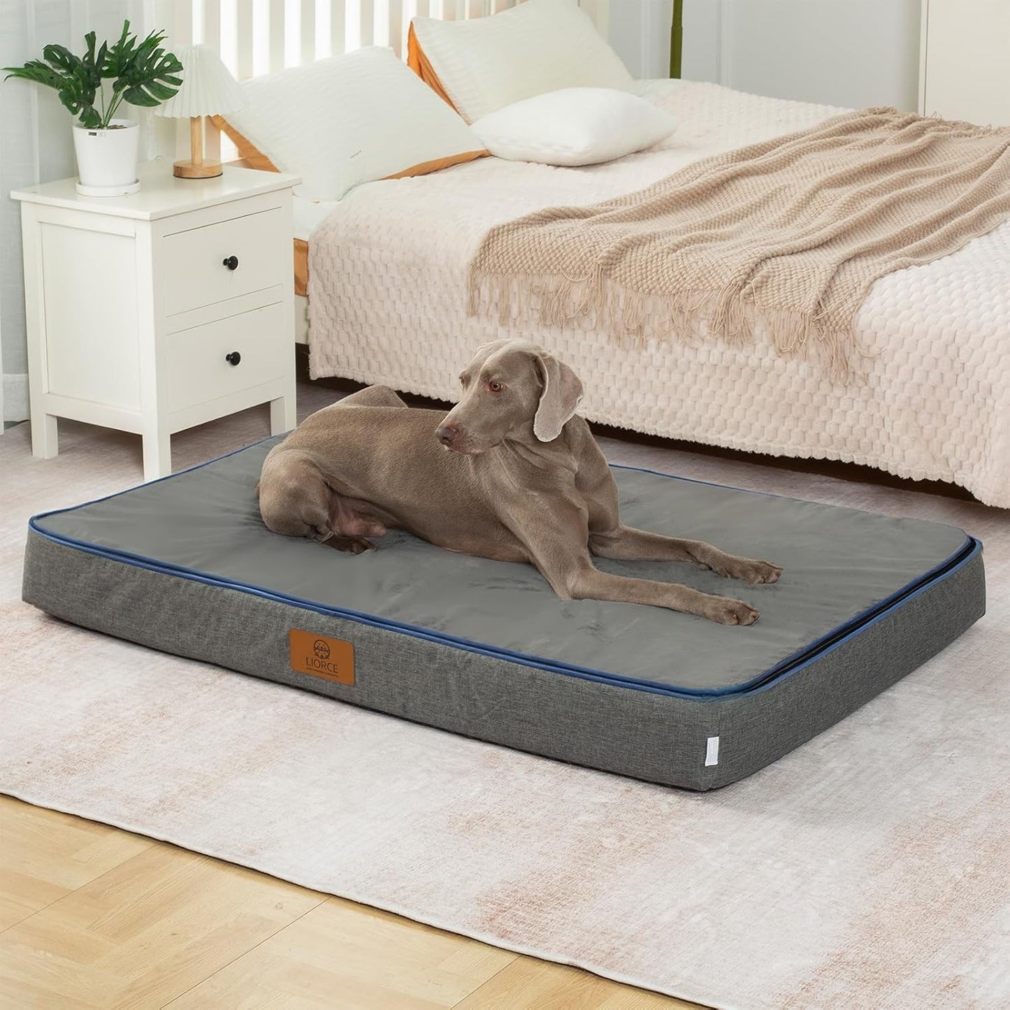 Orthopedic Memory Foam Giant Dog Bed for Ultimate Comfort