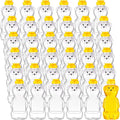 Thenshop 36 Pcs Honey Bear Bottle Plastic Squeeze Jars - Bulk Pack