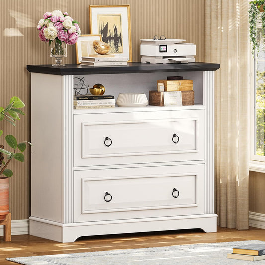 Itaar Farmhouse 2-Drawer File Cabinet - Organize with Ease!