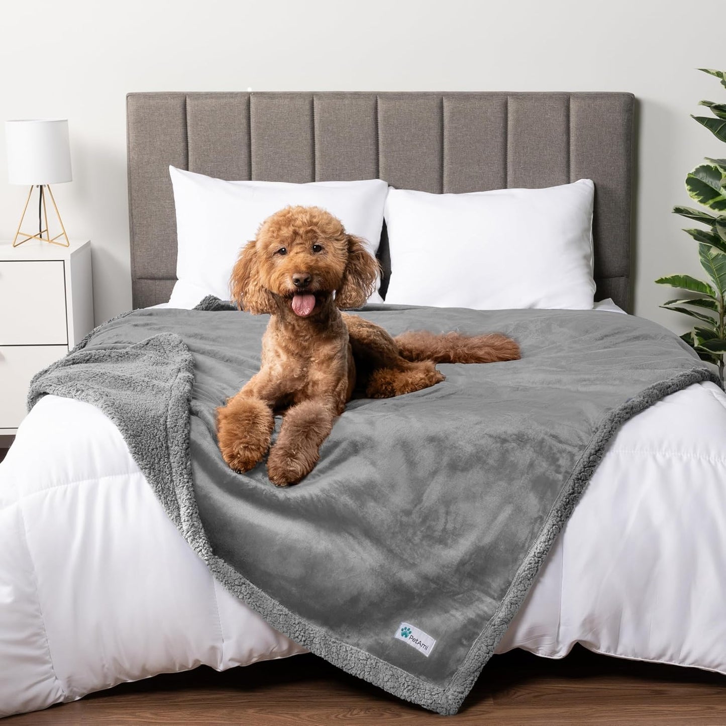 PetAmi Waterproof Dog Blanket for Queen Bed and Couch Cover