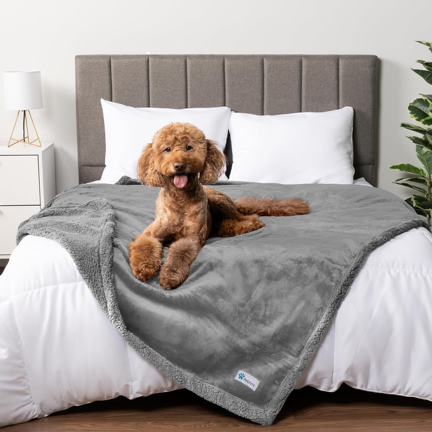PetAmi Waterproof Dog Blanket for Queen Bed and Couch Cover