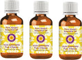 Deve Herbes Pure Ajwain Essential Oil 100ml x3 - Pure Steam Distilled