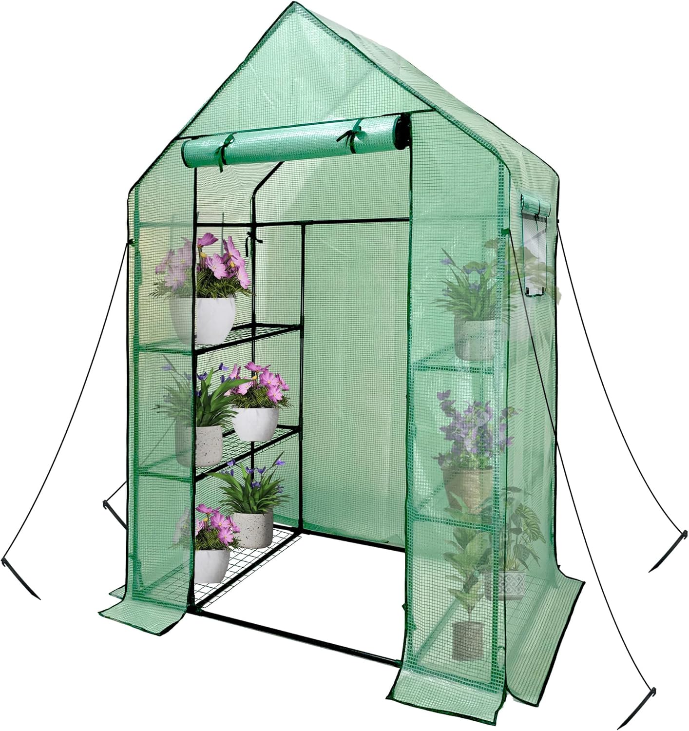 Walk in Greenhouse with Shelves for Optimal Plant Growth