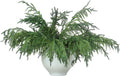 Norfolk Pine Branches 30 pcs 30 in Faux Greenery - Lifelike Bendable