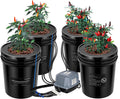 DWC Hydroponics Grow System with Top Drip Kit - 4x 5-Gallon Buckets
