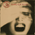 Third Eye Blind Vinyl 2LP - Anniversary Pressing with 90s Sound