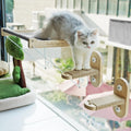 Cat Window Perch Foldable Hammock - Sunny Nap Spot for Indoor Cats