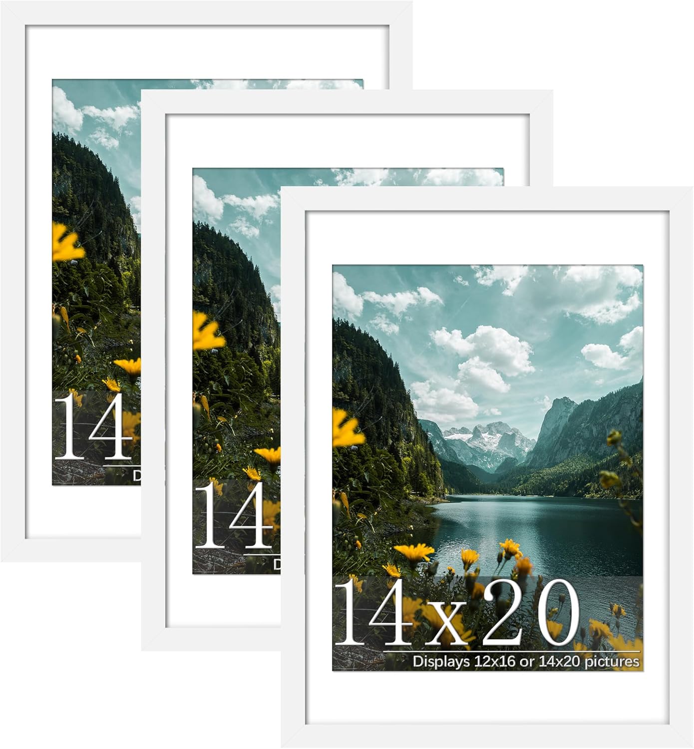 Flexible 14x20 Picture Frame 3 Pack for Wall Mounting