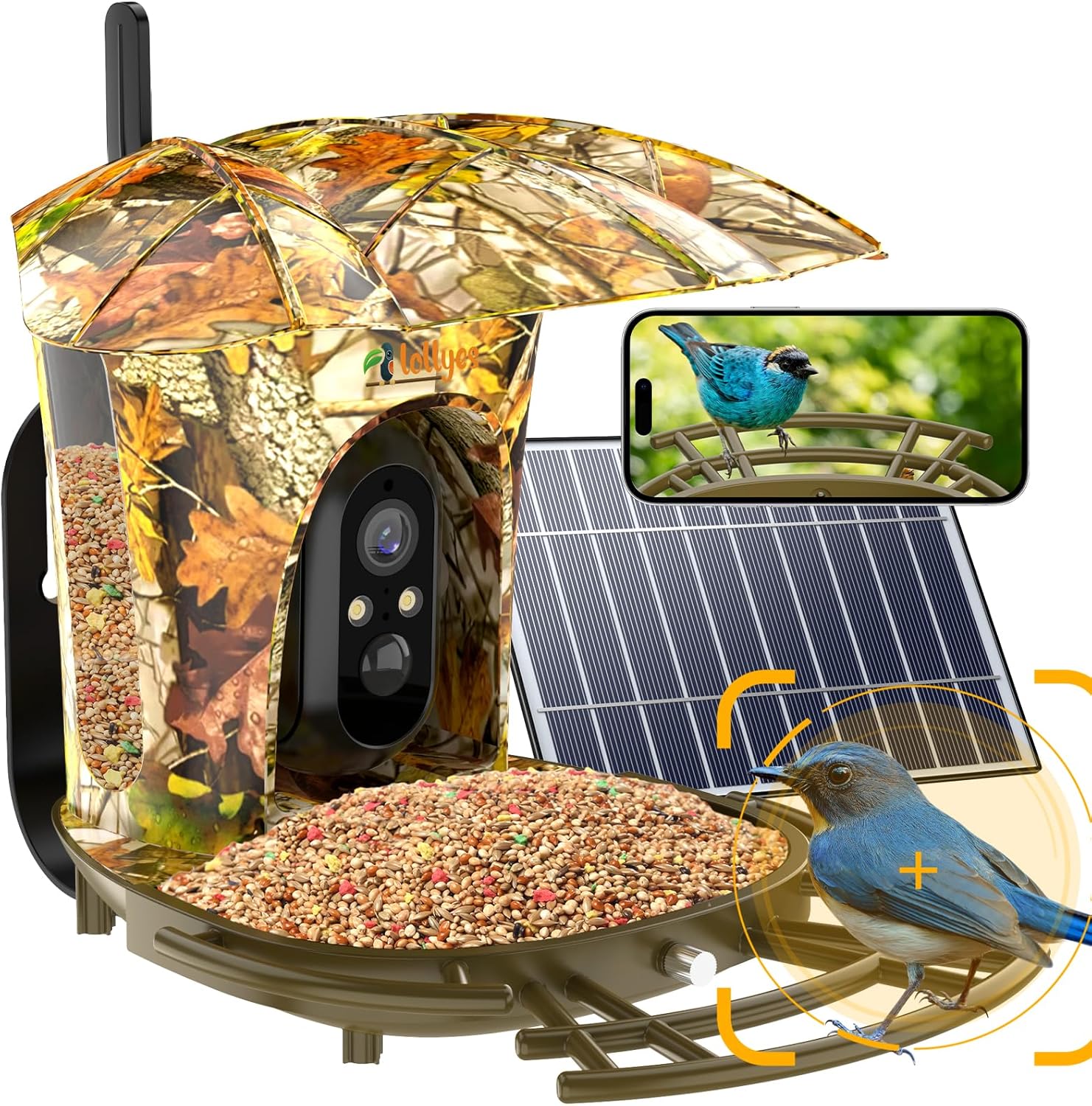 Smart Bird Feeder with Camera - AI Bird Identification!