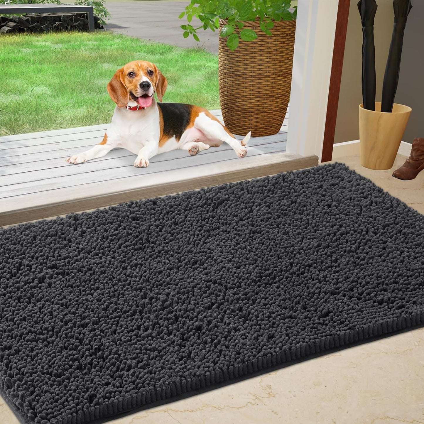 Chenille Absorbent Outdoor Doormat for Muddy Paws 48in x 30in