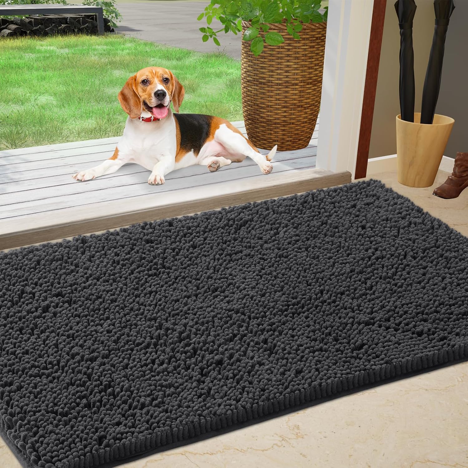 Chenille Absorbent Outdoor Doormat for Muddy Paws 48in x 30in
