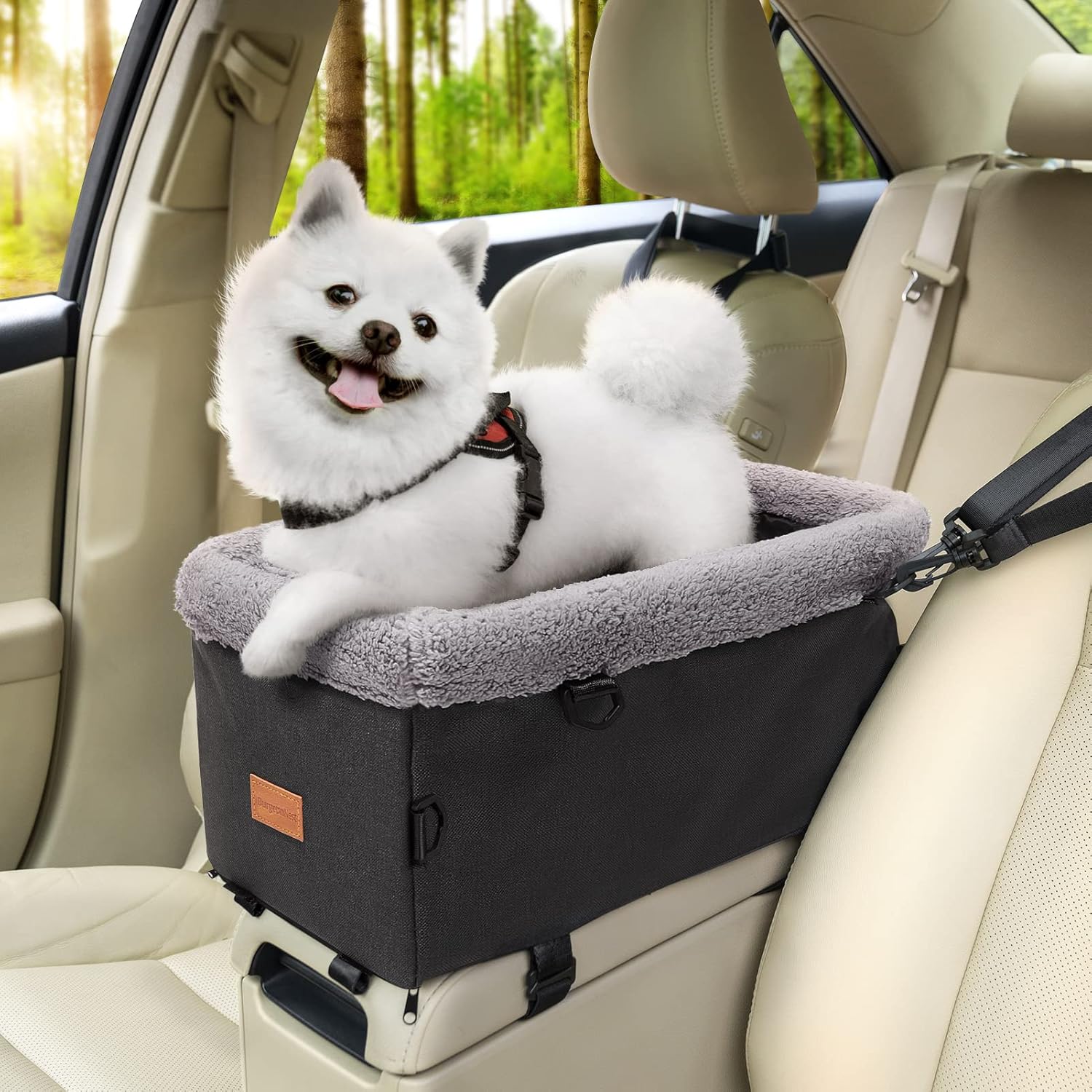 BurgeonNest Small Dog Car Seat: Safe & Stylish!