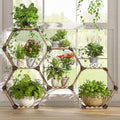 Hexagonal Plant Stand 7-Tier Wooden Shelf - Creative DIY Display