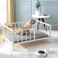 Dog Bed with Rails Elevated Metal Frame and Washable Mat - Cozy Raised